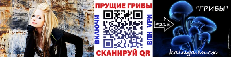 Псилоцибиновые грибы Psilocybine cubensis  Белово 
